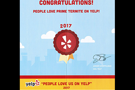 yelp-award-450x300